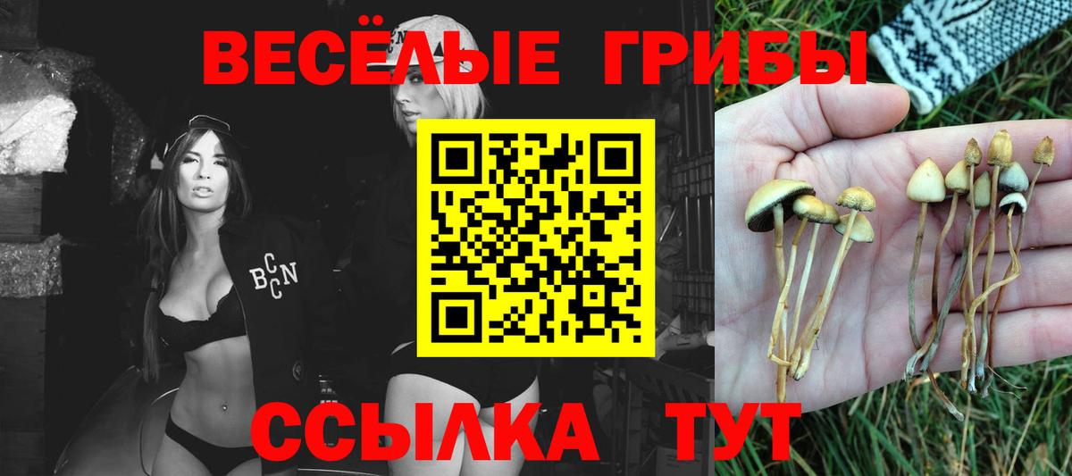 Копейск  Псилоцибиновые грибы прущие грибы  Галлюциногенные грибы Cubensis  Вход с VPN 
